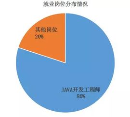 渤海大學中軟國際軟件與服務外包學院2018屆畢業(yè)生答辯圓滿結束