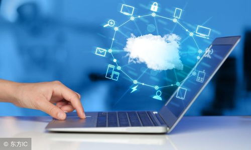 云計算 從網(wǎng)絡應用模式到軟件外包服務的演化