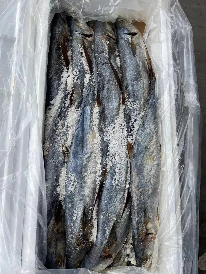 專業海味干貨批發 品質之選，放心之源