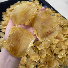 深海臻品，滋補圣味 嘴鳘魚膠與紅雞赤的味蕾饕宴